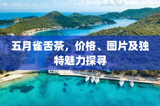 五月雀舌茶，價格、圖片及獨特魅力探尋