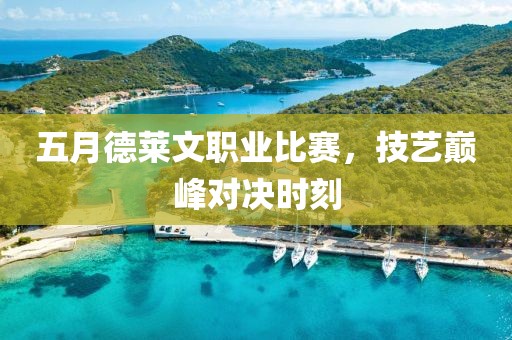 五月德萊文職業比賽，技藝巔峰對決時刻
