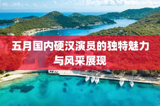 五月國內硬漢演員的獨特魅力與風采展現