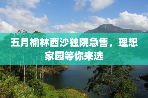 初告白