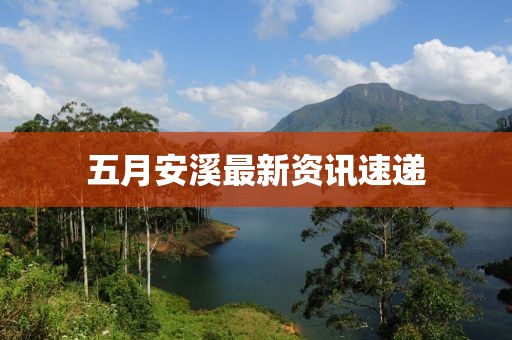 五月安溪最新資訊速遞