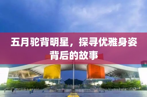 五月駝背明星，探尋優雅身姿背后的故事