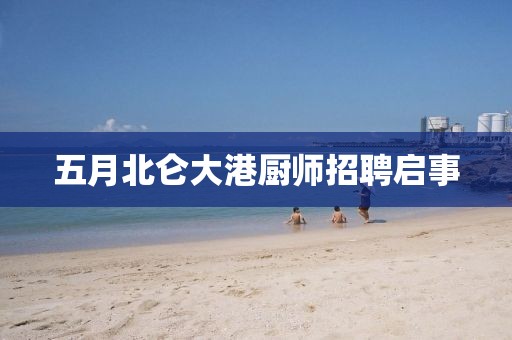 梅楊