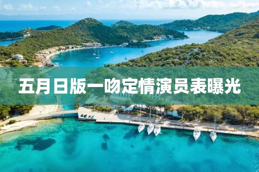 五月日版一吻定情演員表曝光