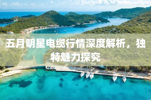 五月明星電纜行情深度解析，獨特魅力探究