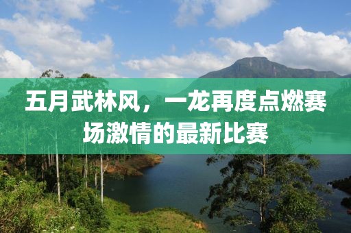 五月武林風，一龍再度點燃賽場激情的最新比賽