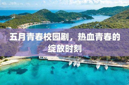 五月青春校園劇，熱血青春的綻放時刻