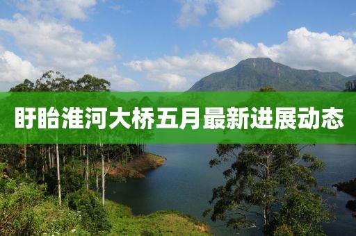 盱眙淮河大橋五月最新進展動態