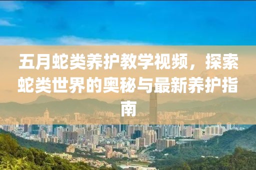 實楚