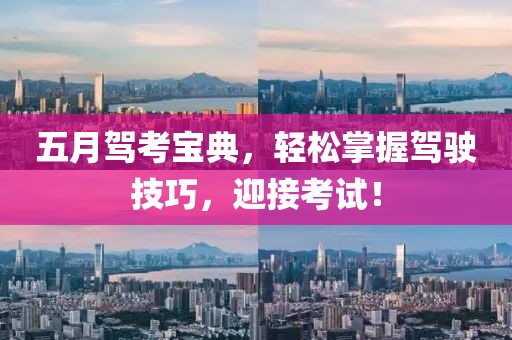 五月駕考寶典，輕松掌握駕駛技巧，迎接考試！