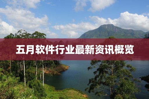 五月軟件行業最新資訊概覽