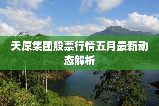 天原集團股票行情五月最新動態解析