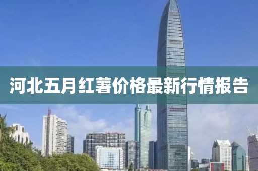 河北五月紅薯價格最新行情報告