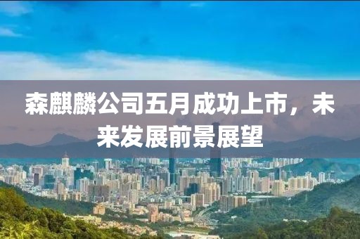 森麒麟公司五月成功上市，未來發展前景展望