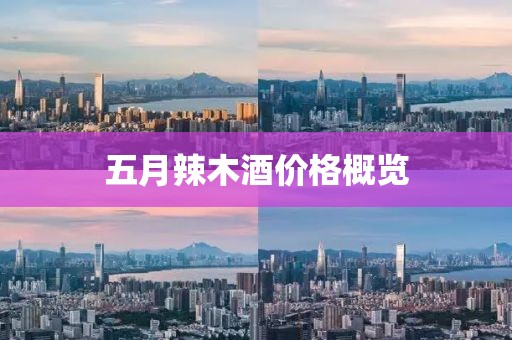 五月辣木酒價格概覽
