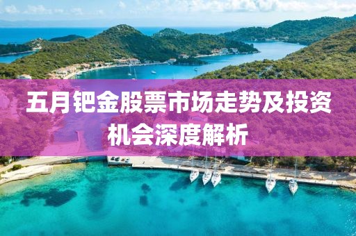 五月鈀金股票市場走勢及投資機會深度解析