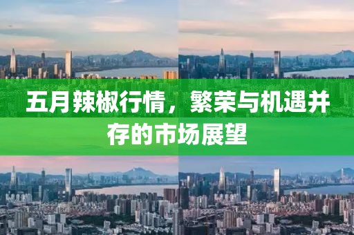 五月辣椒行情，繁榮與機遇并存的市場展望