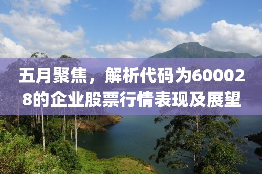 五月聚焦，解析代碼為600028的企業股票行情表現及展望