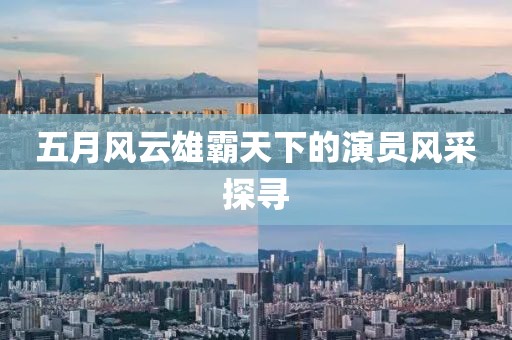 五月風云雄霸天下的演員風采探尋