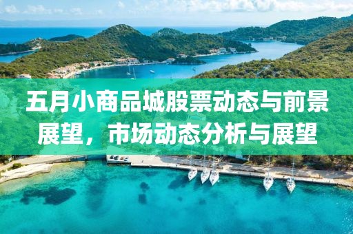 五月小商品城股票動態與前景展望，市場動態分析與展望