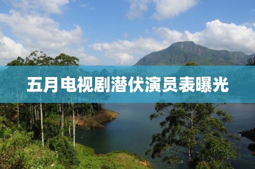 五月電視劇潛伏演員表曝光