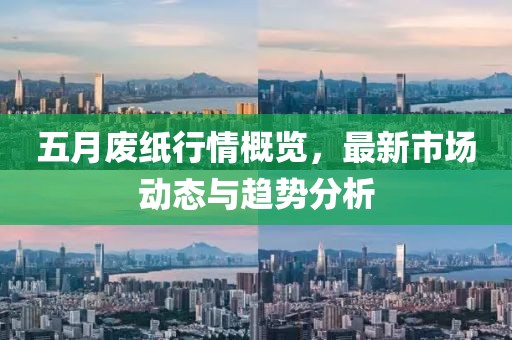 五月廢紙行情概覽，最新市場動態與趨勢分析