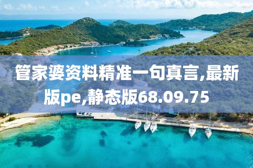管家婆資料精準一句真言,最新版pe,靜態版68.09.75