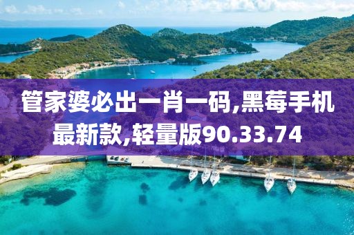 管家婆必出一肖一碼,黑莓手機最新款,輕量版90.33.74