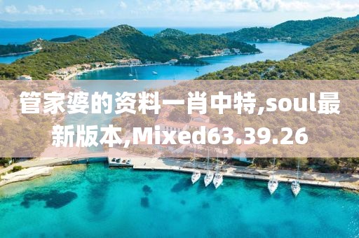 管家婆的資料一肖中特,soul最新版本,Mixed63.39.26