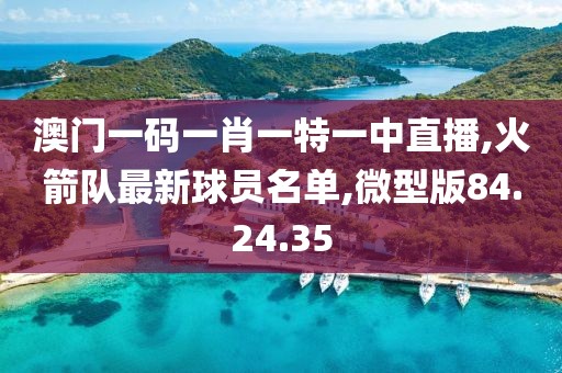 澳門一碼一肖一特一中直播,火箭隊最新球員名單,微型版84.24.35