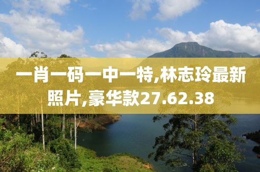 一肖一碼一中一特,林志玲最新照片,豪華款27.62.38