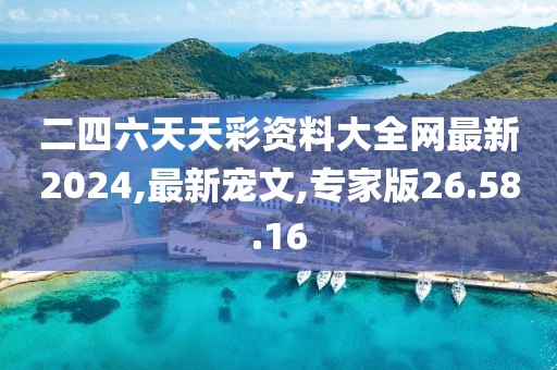 二四六天天彩資料大全網最新2024,最新寵文,專家版26.58.16