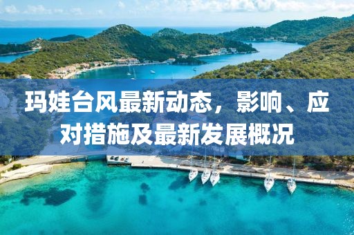 瑪娃臺風最新動態，影響、應對措施及最新發展概況
