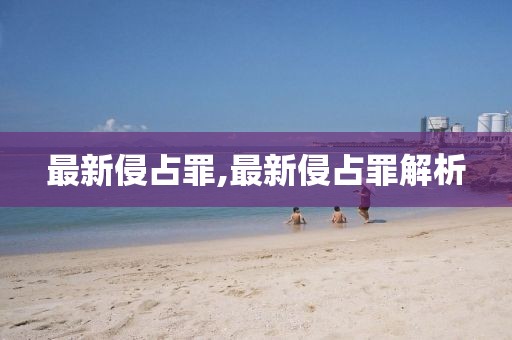 最新侵占罪,最新侵占罪解析