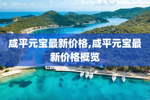 咸平元寶最新價格,咸平元寶最新價格概覽