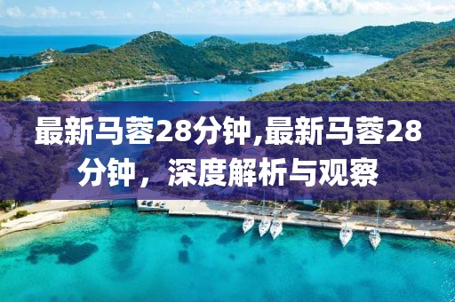 最新馬蓉28分鐘,最新馬蓉28分鐘，深度解析與觀察