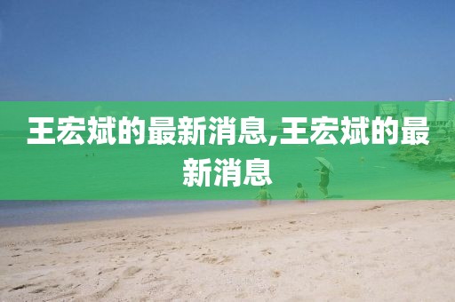 王宏斌的最新消息,王宏斌的最新消息