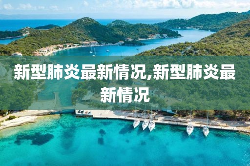 新型肺炎最新情況,新型肺炎最新情況