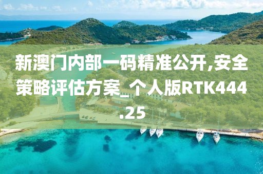 新澳門內部一碼精準公開,安全策略評估方案_個人版RTK444.25