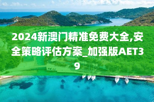 2024新澳門精準免費大全,安全策略評估方案_加強版AET39