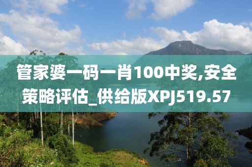 管家婆一碼一肖100中獎,安全策略評估_供給版XPJ519.57