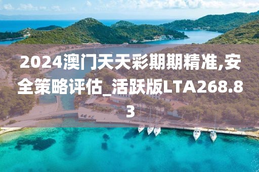 2024澳門天天彩期期精準,安全策略評估_活躍版LTA268.83