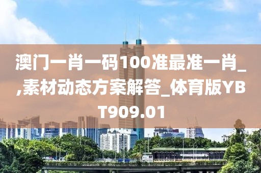 澳門一肖一碼100準最準一肖_,素材動態方案解答_體育版YBT909.01