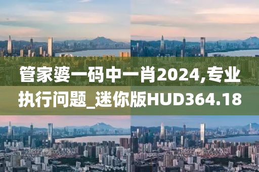 管家婆一碼中一肖2024,專業執行問題_迷你版HUD364.18
