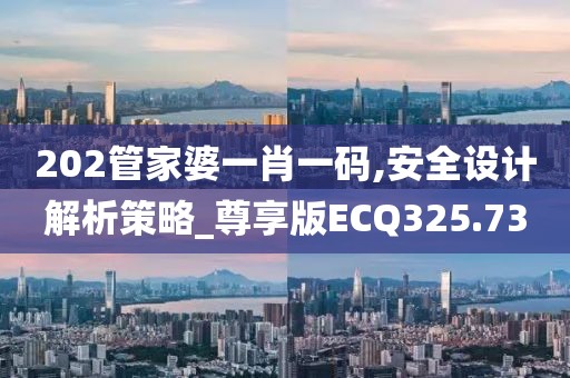 202管家婆一肖一碼,安全設計解析策略_尊享版ECQ325.73