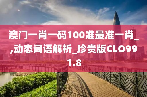 澳門一肖一碼100準最準一肖_,動態詞語解析_珍貴版CLO991.8