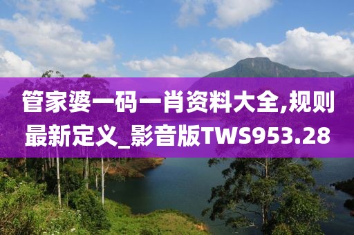 管家婆一碼一肖資料大全,規則最新定義_影音版TWS953.28