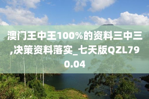 澳門王中王100%的資料三中三,決策資料落實_七天版QZL790.04