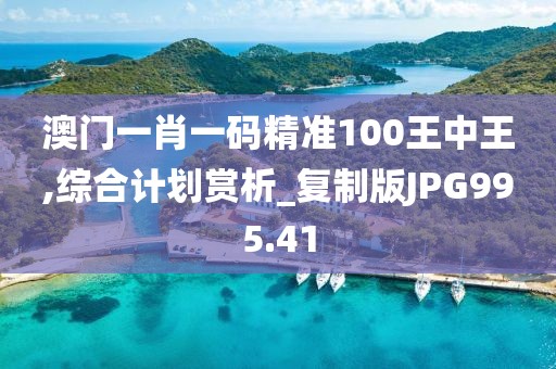 澳門一肖一碼精準100王中王,綜合計劃賞析_復制版JPG995.41