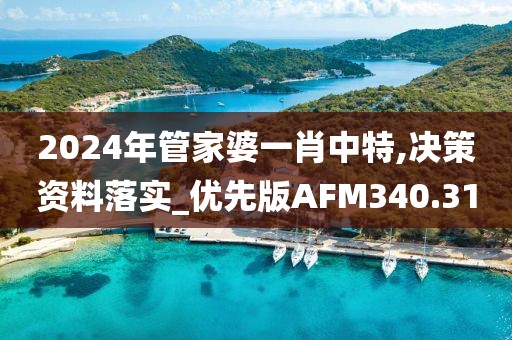 2024年管家婆一肖中特,決策資料落實_優先版AFM340.31